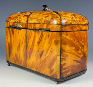 Superb Georgian (1770s) English Tortoise Shell Tea Caddy, Tortoiseshell, 6.75" Long