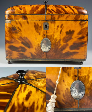 Superb Georgian (1770s) English Tortoise Shell Tea Caddy, Tortoiseshell, 6.75" Long