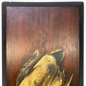 Antique French Oil Painting on 28" Board, "Nature Morte" or Nature Still Life w Mallard Duck