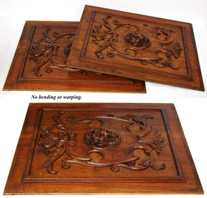 Antique Victorian Carved Walnut Furniture or Cabinet Door Panel PAIR, Acanthus & Lion Heads