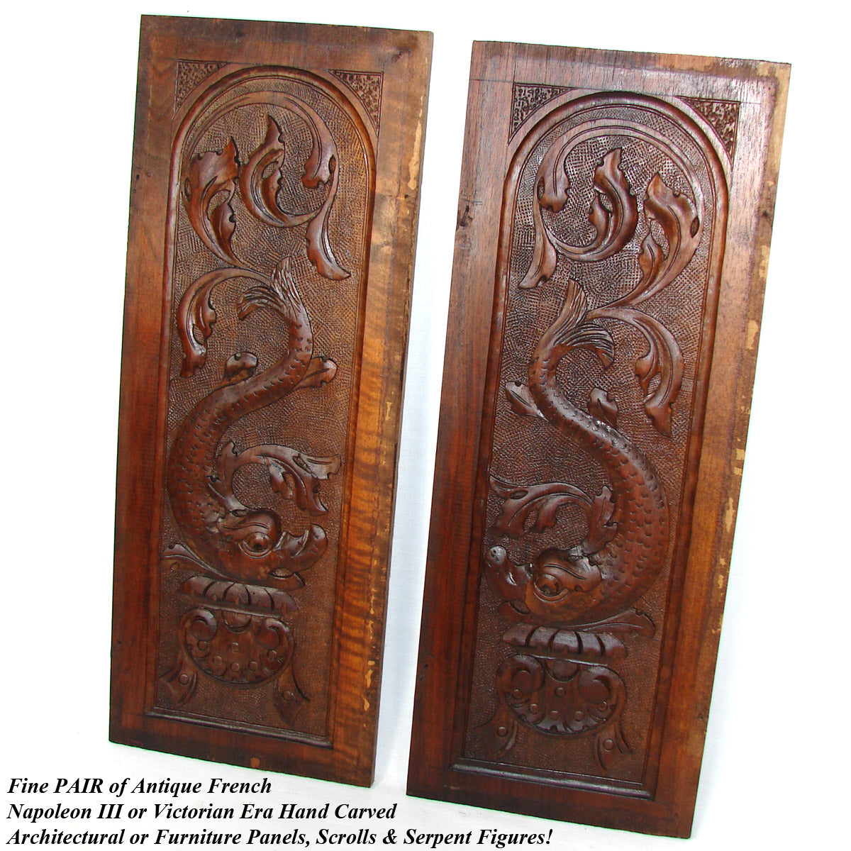 Antique Victorian Carved Walnut Furniture or Cabinet Door Panel PAIR, Architectural, Serpent Figures