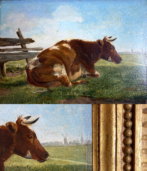 Antique Framed Oil Painting of a Cow, Pastoral, by Eugène Berboeckhoven (1798-1881), Belgium