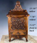 Antique French 19th c. Country French 15.5" Carved Salt Spice Cabinet, Box, Chest