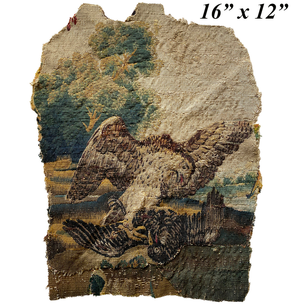 Antique Flemish Verdure Fine Tapestry Fragment for Pillow, Eagle and Crow, Landscape