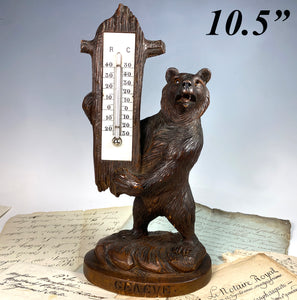 Antique Swiss HC Black Forest 10.5" Bear Thermometer Stand, Desktop Weather, Glass Eyes