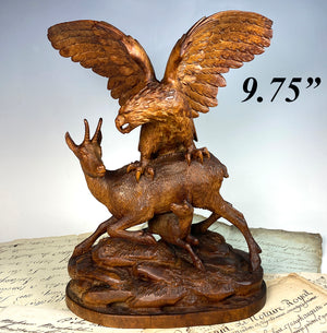 Exquisite Antique Hand Carved Swiss Black Forest Hunt Sculpture, Eagle and Chamois, Kid Goat