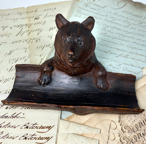 Darling Antique Swiss Black Forest Bear is an Inkwell, Pen Tray, Glass Eyes