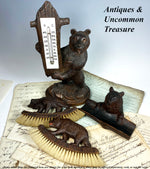 Darling Antique Swiss Black Forest Bear is an Inkwell, Pen Tray, Glass Eyes