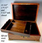 Large 14" Antique French Napoleon III Era Work Box, Chest, Cigar Cabinet or Jewelry Box