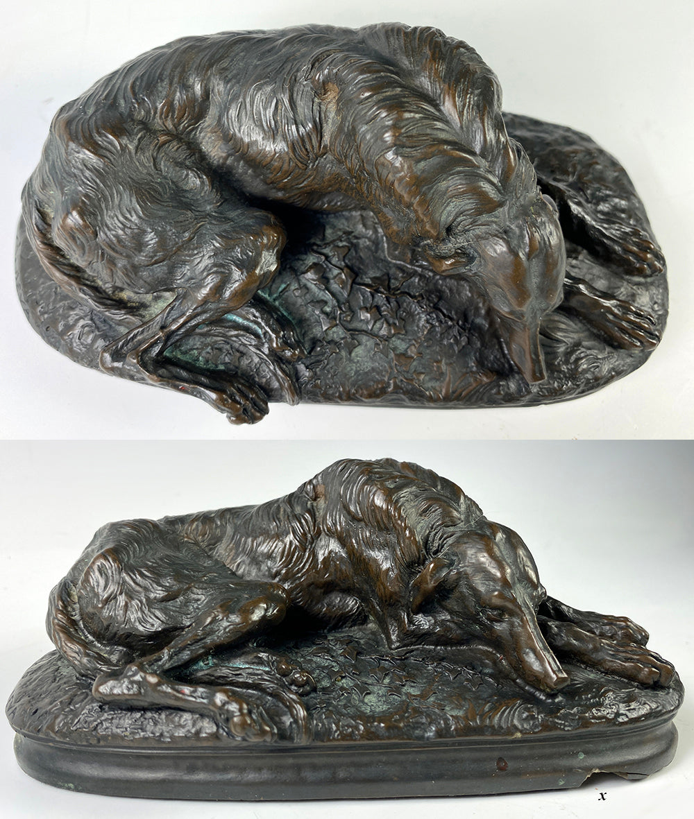 Antique French Animalier Era Bronze Resting Hound, Dog, Apres Paul Gayrard, signed A Deva