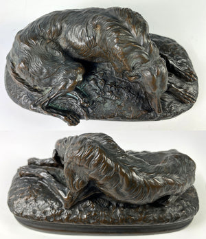 Antique French Animalier Era Bronze Resting Hound, Dog, Apres Paul Gayrard, signed A Deva