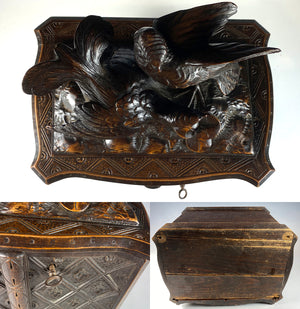 Antique 19th c. Swiss Black Forest Cigar Chest Animalier Fan Tail Pheasants up Top, 46 cigars