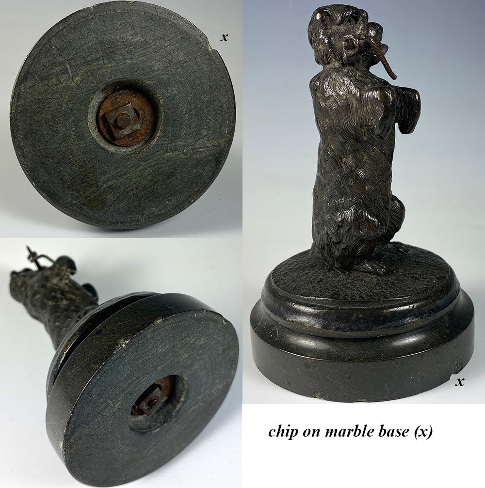 Antique French Bronze Begging Dog Pocket Watch Holder, Stand, Marble Base
