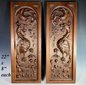 Antique French Carved Cabinet Panels, (2) Architectural Salvage Neo-renaissance with Griffon