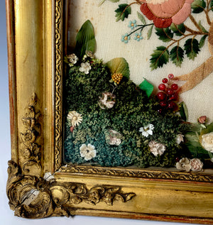 Fine Antique c.1855 French Embroidery Sampler, signed by 11-yr Old Girl, in Gesso, Wood Frame