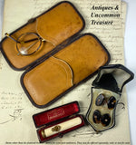 Antique Victorian Era Cigar or Spectacles Case, Purse, Carved Stag in Antler, Tortoise Shell