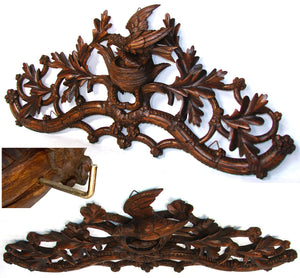 Antique Black Forest Carved 32.5" Wall-Mount Hat & Coat or Riding Crop & Leash Rack, Leaves, Bird & Nest