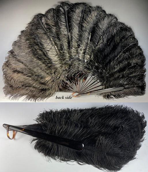 Antique French Hand Fan, 78 cm Span, Black Ostrich Feather and Tortois –  Antiques & Uncommon Treasure