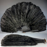Antique French Hand Fan, 78 cm Span, Black Ostrich Feather and Tortoise Shell Monture, Edwardian