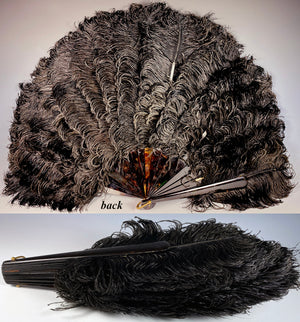 Antique French Black Ostrich Feather and Tortoise Shell Fan, c.1890-1910, Crown Monogram