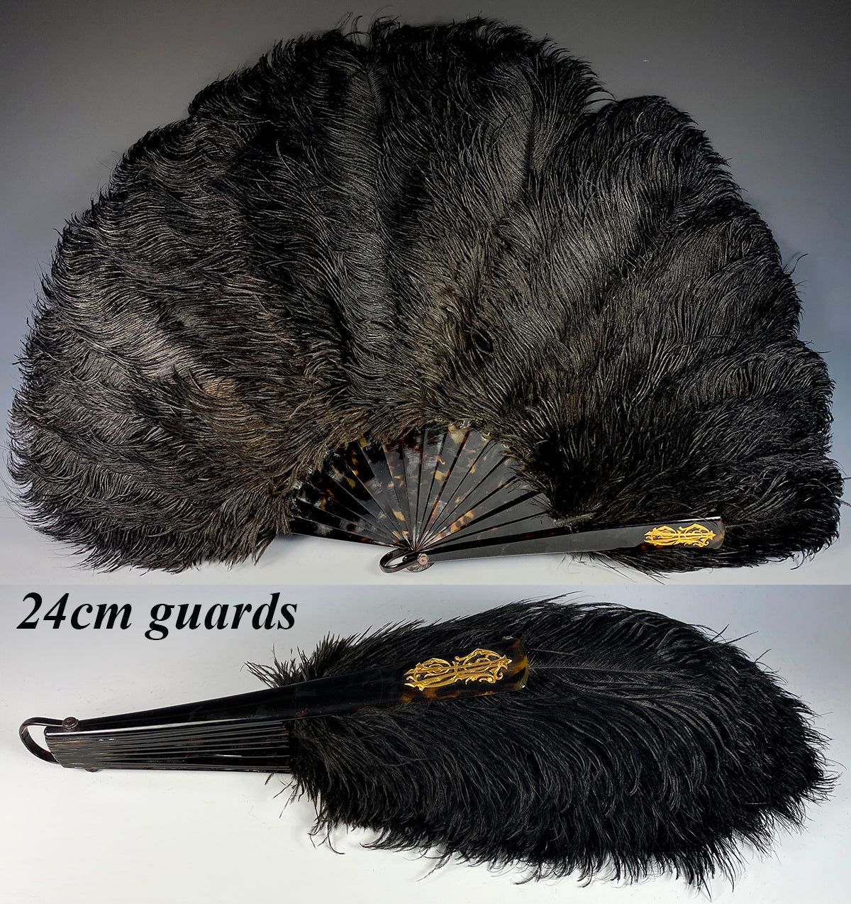 Antiques & Uncommon Treasure Opulent Large French Ostrich Feather and Tortoise Shell Hand Fan, 24cm Guards W Gold Monogram.
