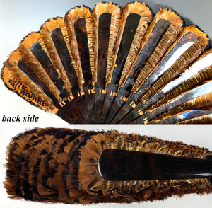 RARE Museum Fan, Antique French Tortoise Shell Monture, Lush Iridescent Ring Neck Pheasant Feather