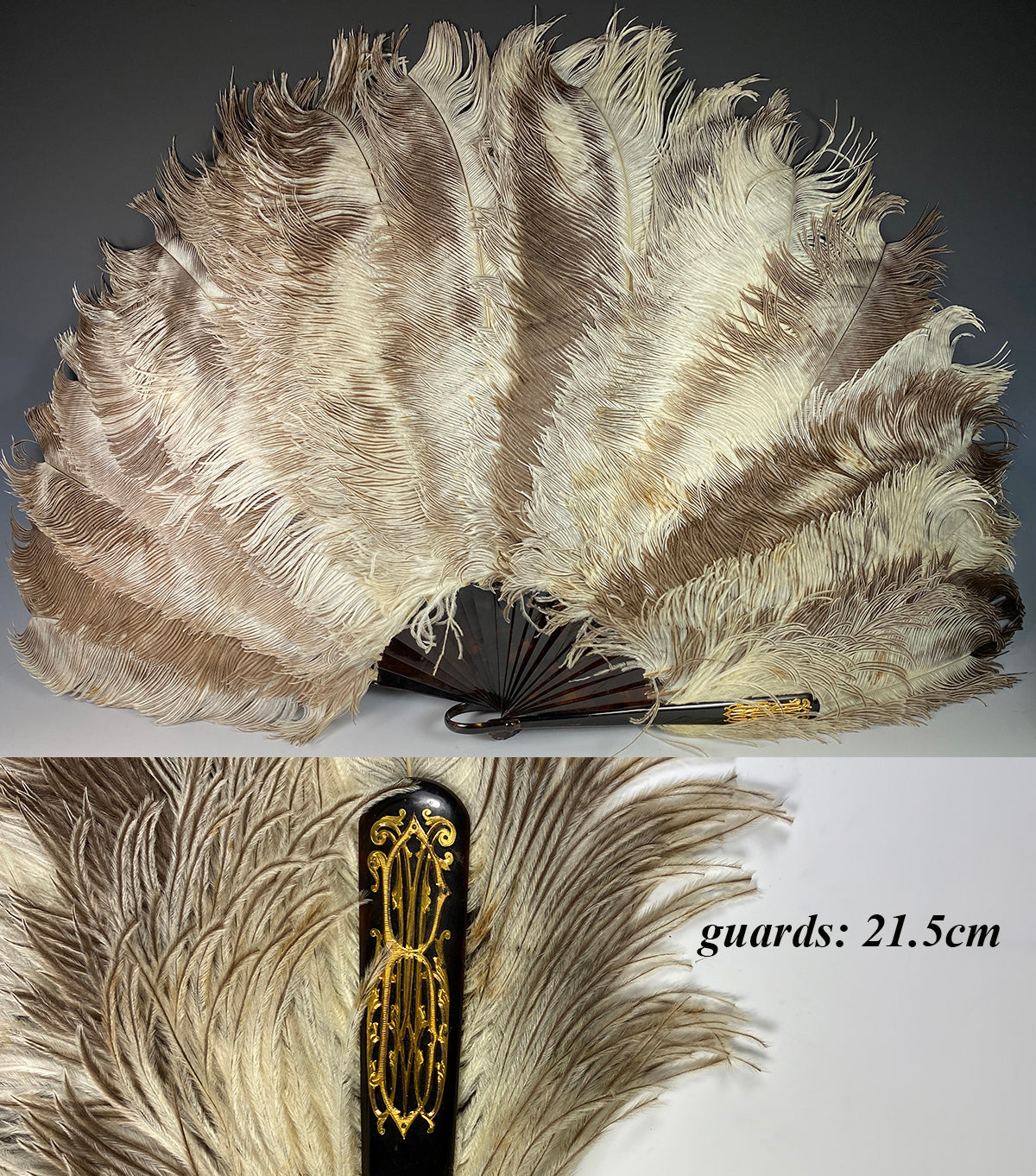 Lush Large French Pale Ostrich Feather and Tortoise Shell Hand Fan, 21.5 cm Guards w Gold Monogram.