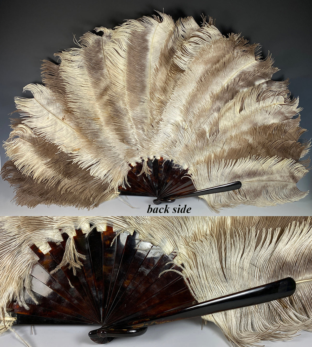 Lush Large French Pale Ostrich Feather and Tortoise Shell Hand Fan, 21.5 cm Guards w Gold Monogram.