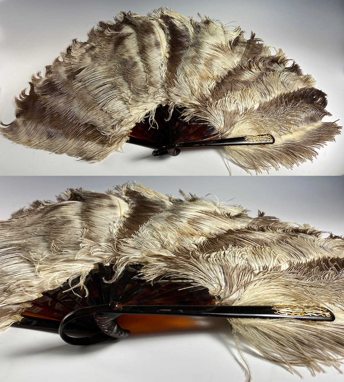 Lush Large French Pale Ostrich Feather and Tortoise Shell Hand Fan, 21.5 cm Guards w Gold Monogram.