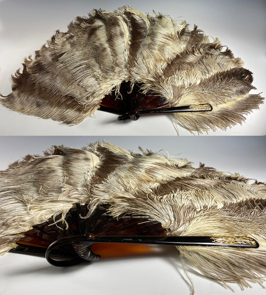 Opulent Large French Ostrich Feather and Tortoise Shell Hand Fan, 24cm –  Antiques & Uncommon Treasure
