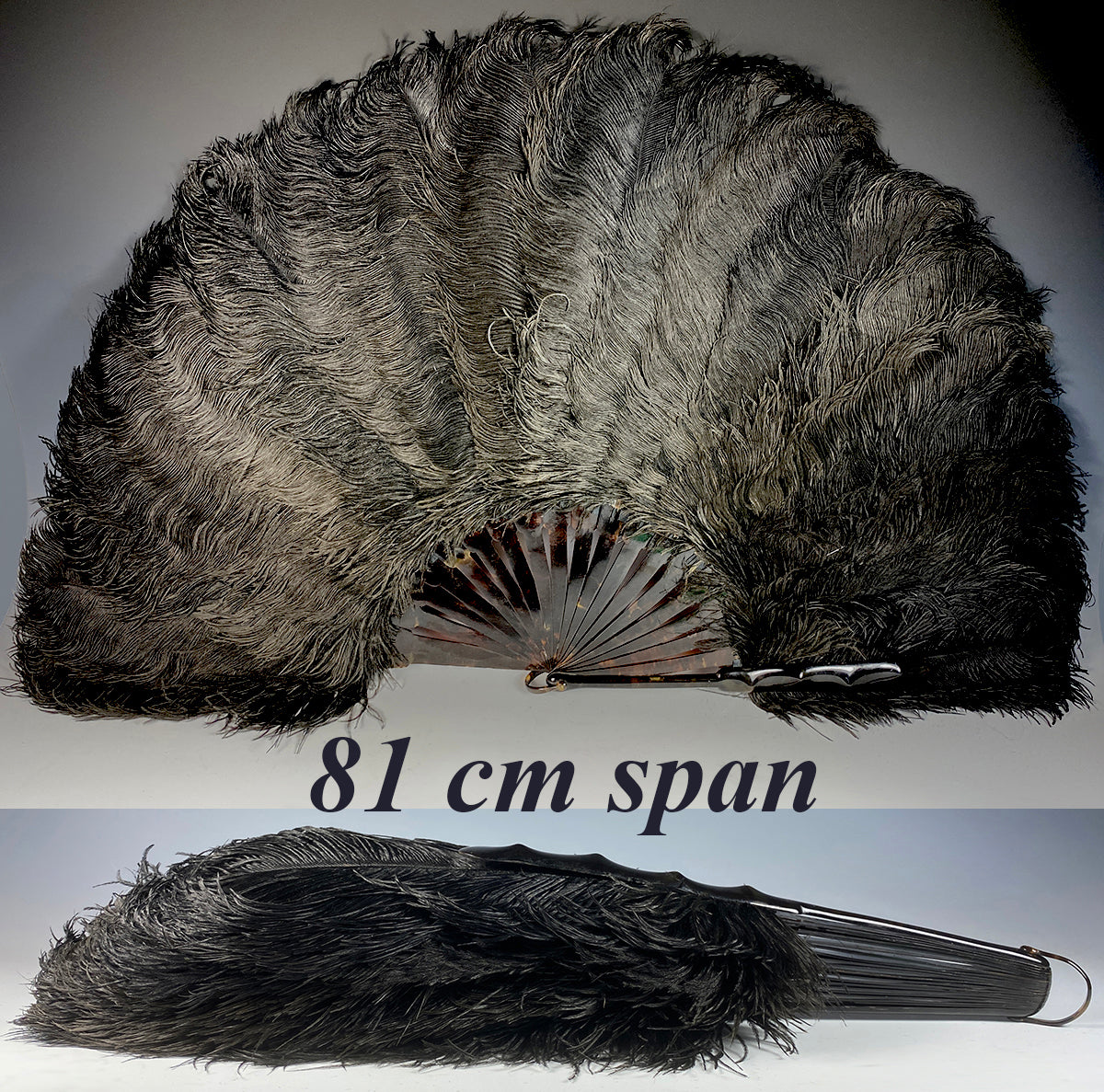 Antique French Hand Fan, 78 cm Span, Black Ostrich Feather and Tortois –  Antiques & Uncommon Treasure
