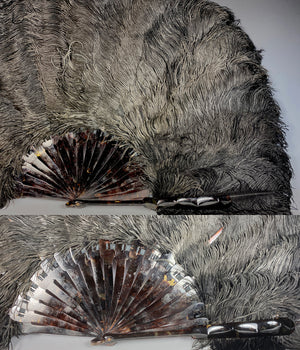 Antique French Hand Fan, 81 cm Span, Black Ostrich Feather and Tortois –  Antiques & Uncommon Treasure