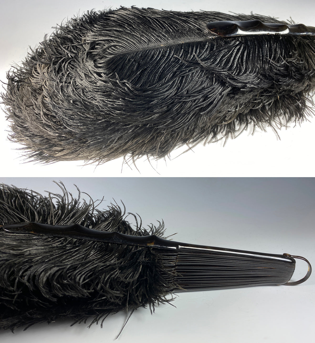 Antique French Hand Fan, 81 cm Span, Black Ostrich Feather and Tortoise Shell Monture, Edwardian